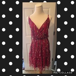 Southern Fried Chicks NWT XXL cocktail dress